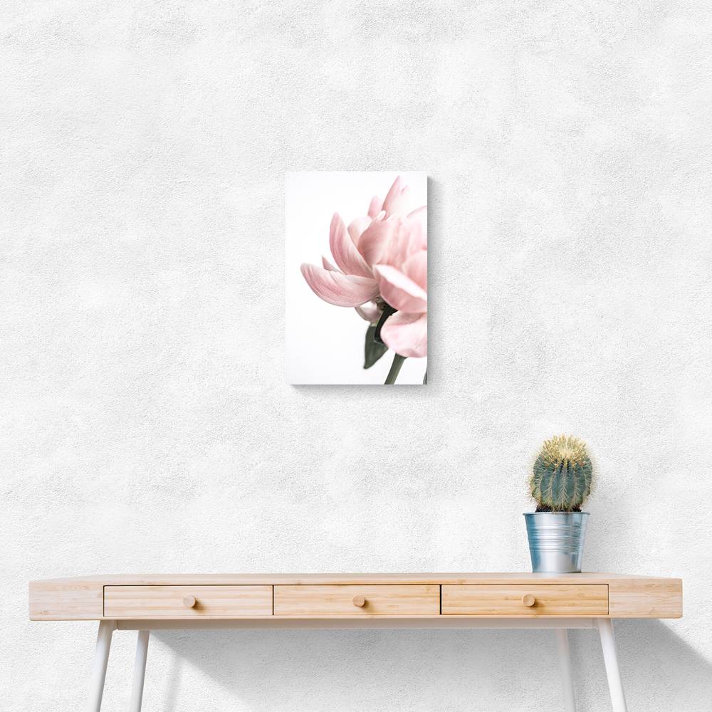 Peony 2 Wall Art