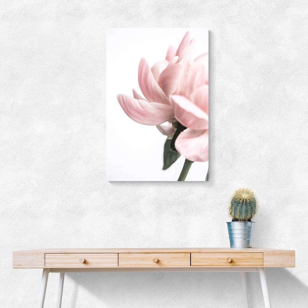 Peony 2 Wall Art