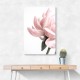 Peony 2 Wall Art