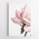 Peony 2 Wall Art