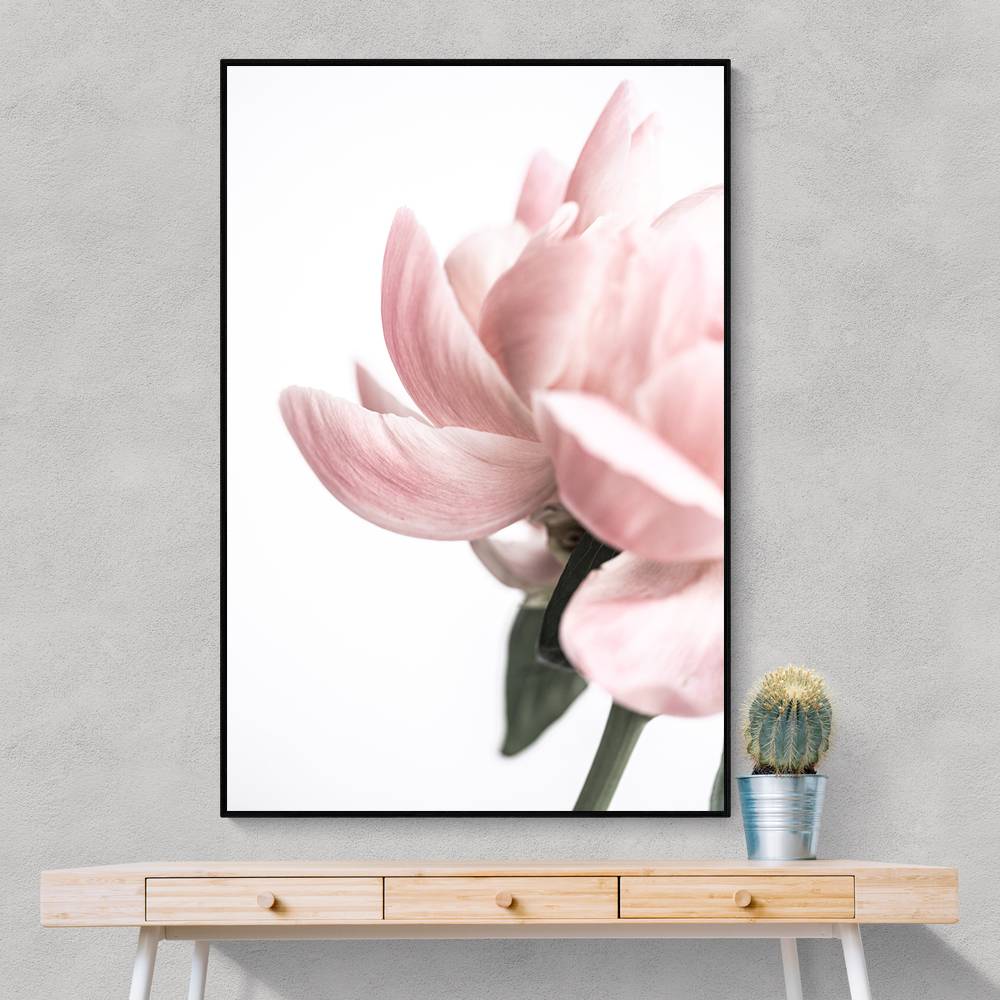 Peony 2 Wall Art