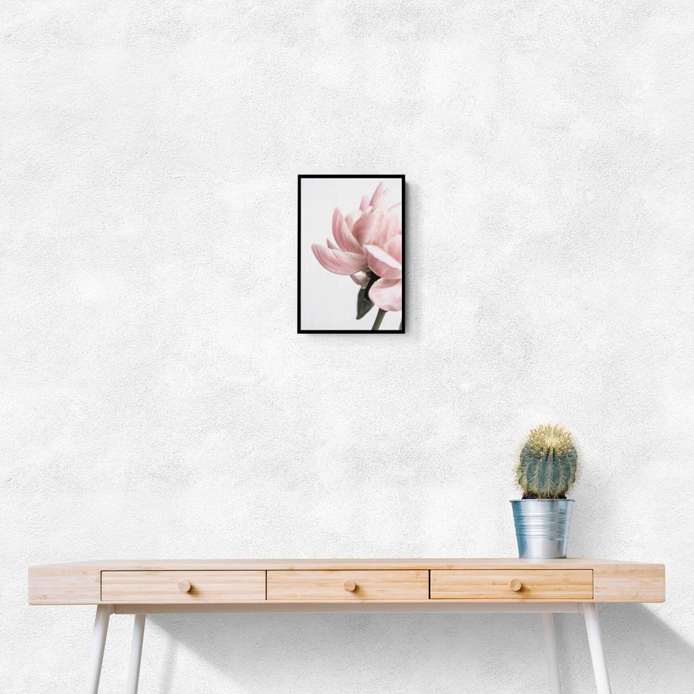 Peony 2 Wall Art