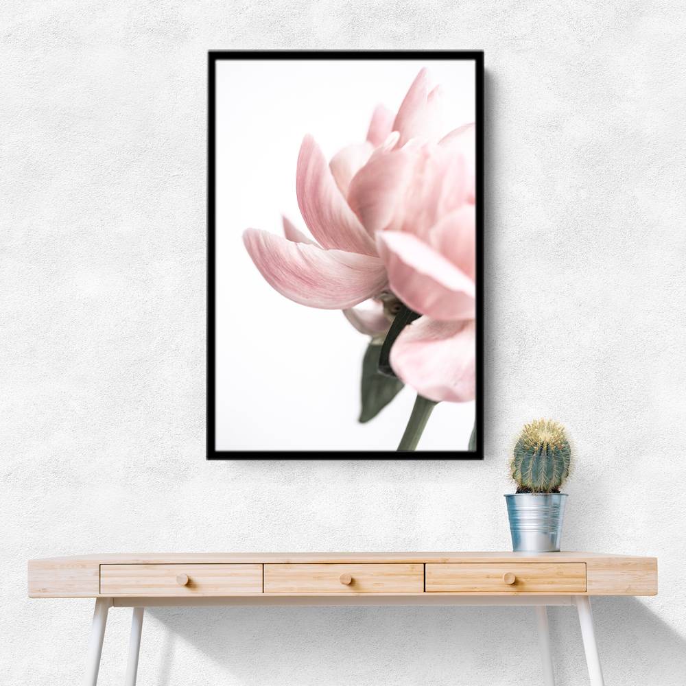 Peony 2 Wall Art