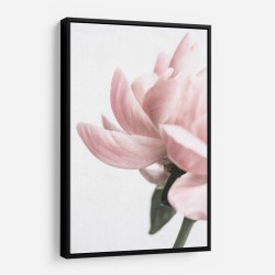 Peony 2 Wall Art