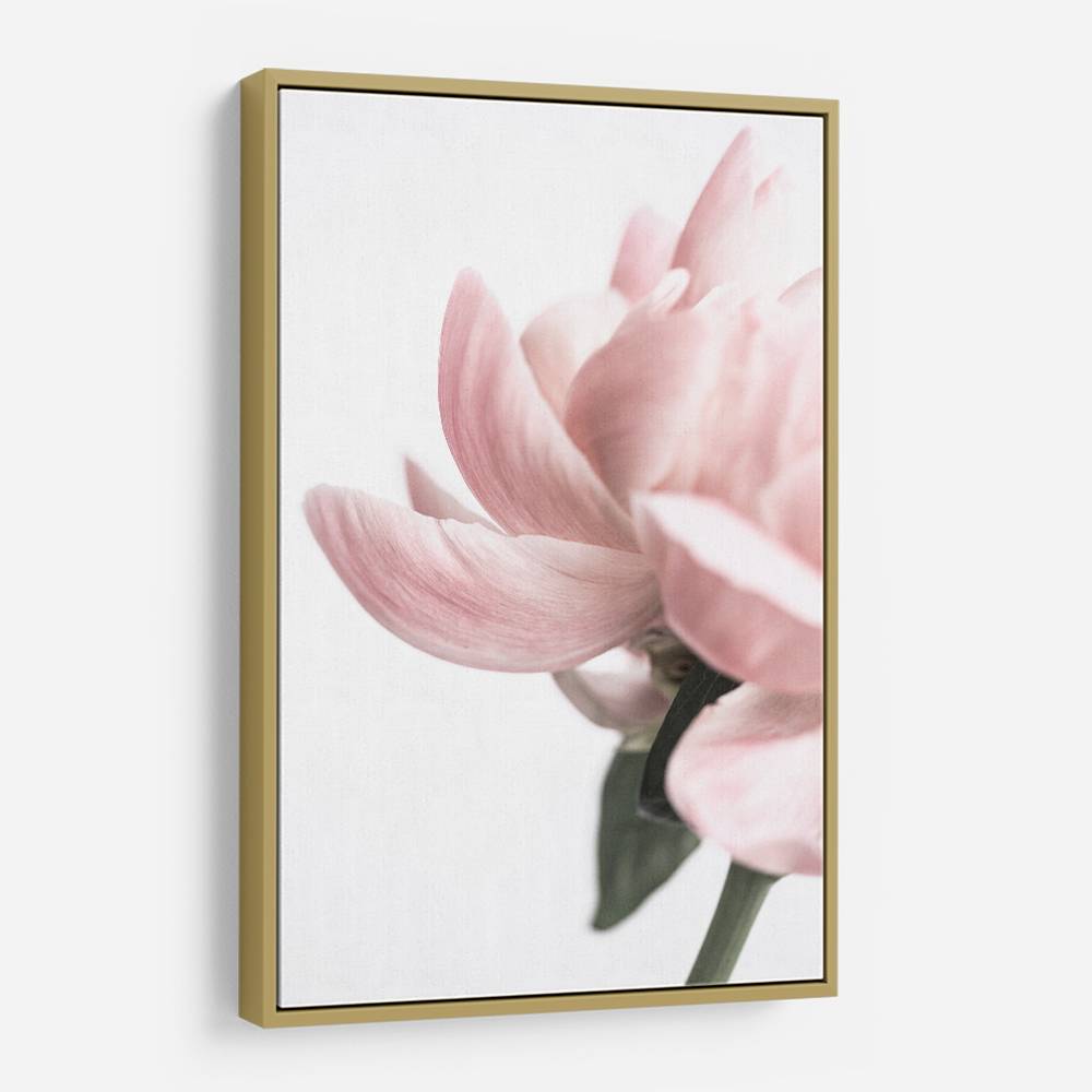 Peony 2 Wall Art