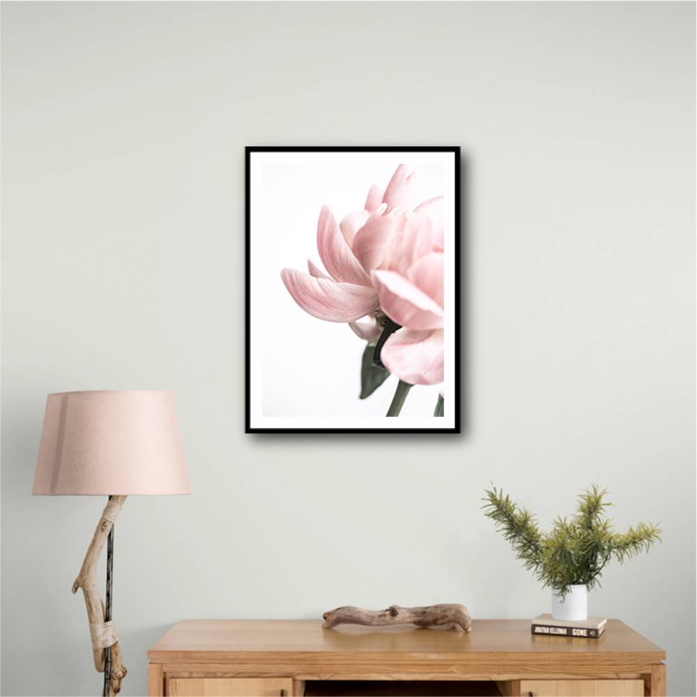 Peony 2 Wall Art