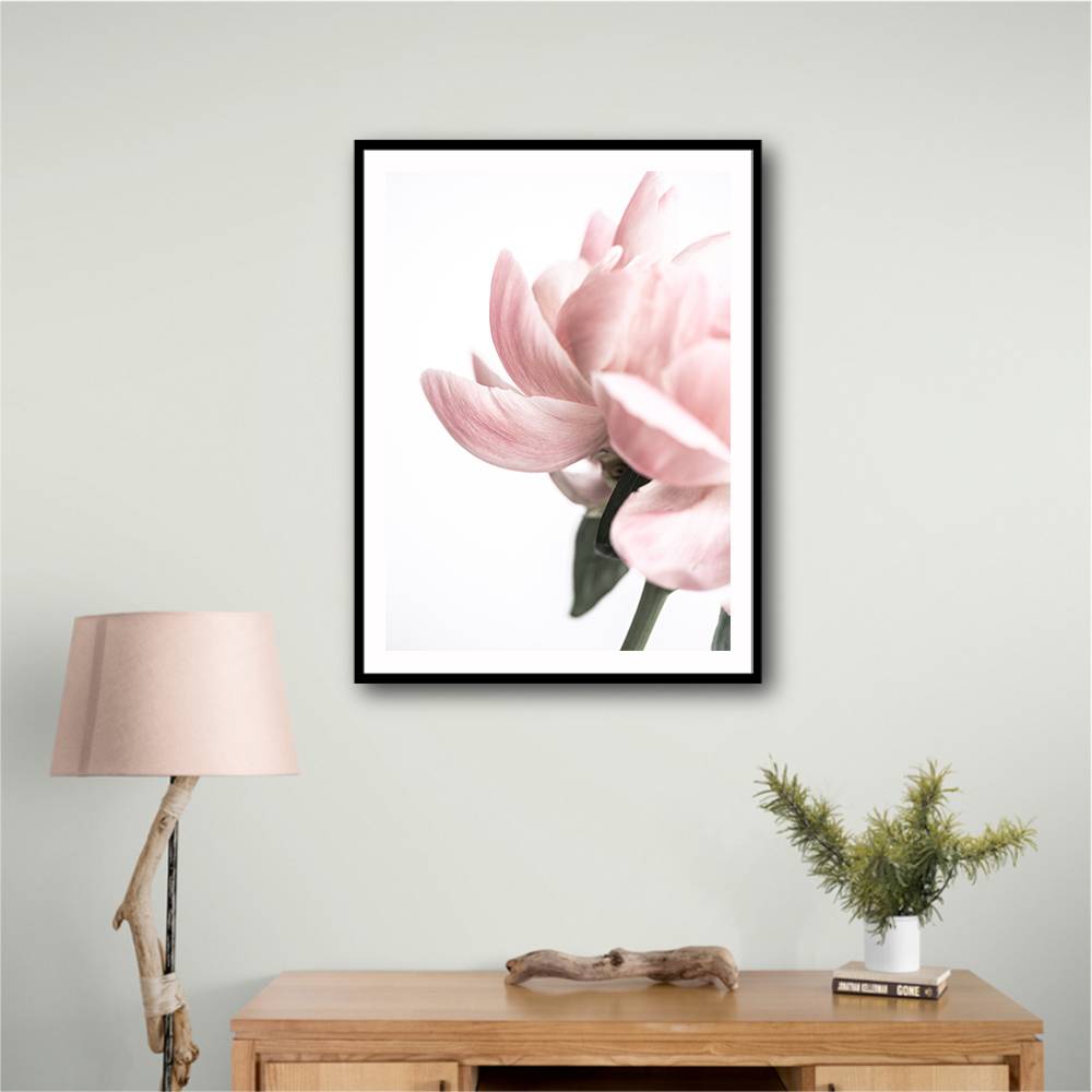 Peony 2 Wall Art