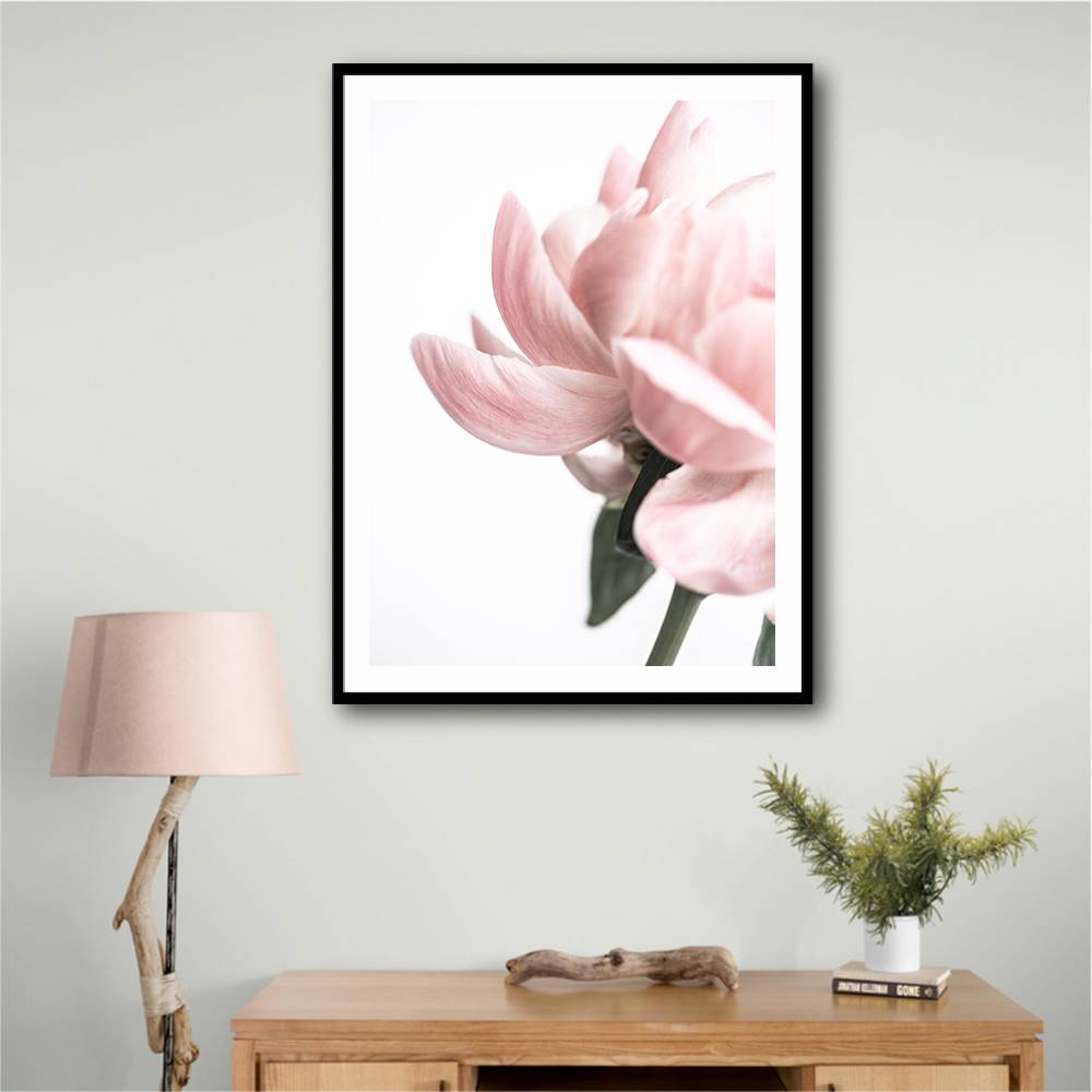 Peony 2 Wall Art