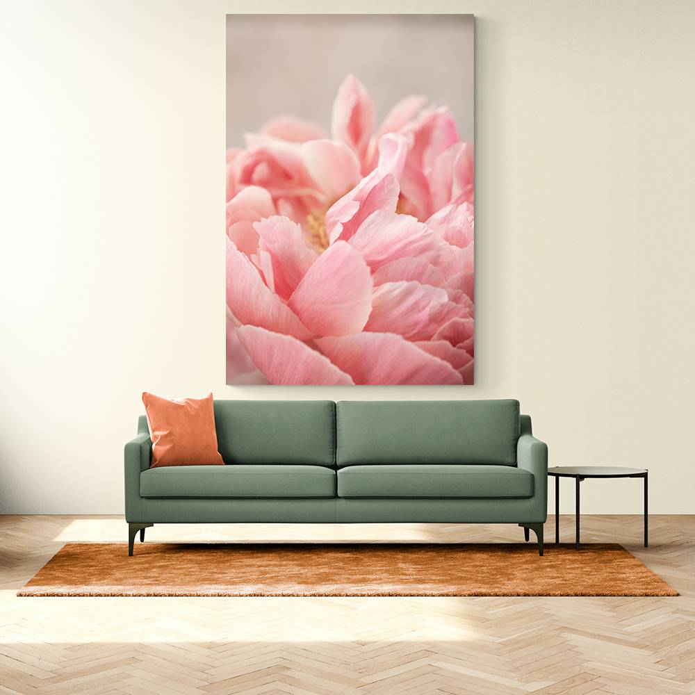 Peony 4 Wall Art