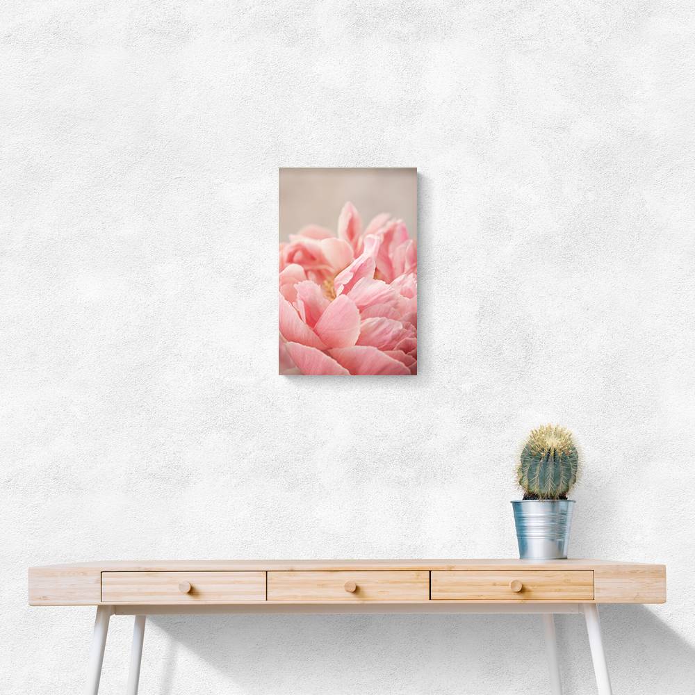 Peony 4 Wall Art