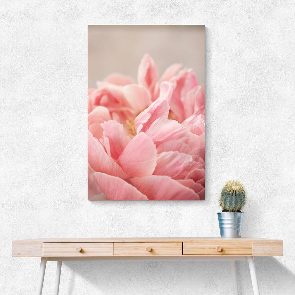 Peony 4 Wall Art