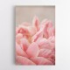 Peony 4 Wall Art