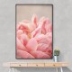 Peony 4 Wall Art