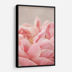 Peony 4 Wall Art