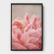 Peony 4 Wall Art