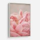 Peony 4 Wall Art