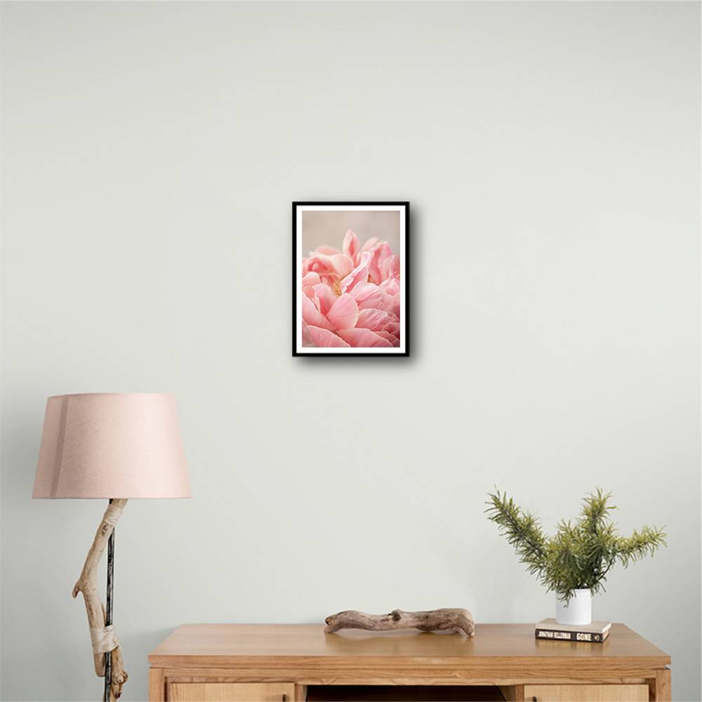 Peony 4 Wall Art