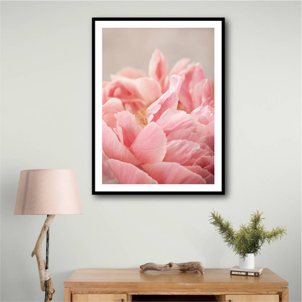 Peony 4 Wall Art