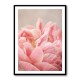 Peony 4 Wall Art