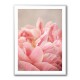 Peony 4 Wall Art