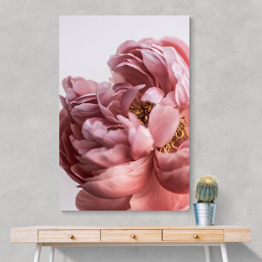 Peony Wall Art