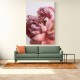 Peony Wall Art