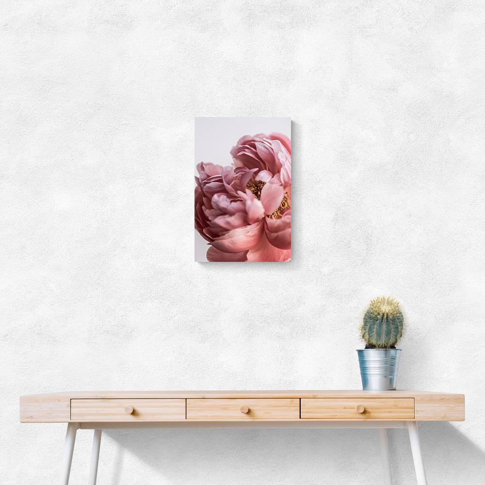 Peony Wall Art