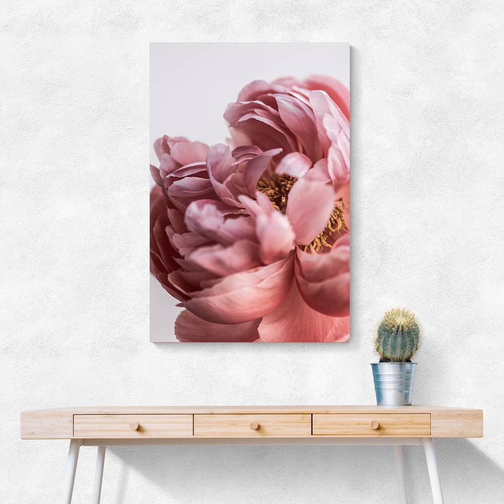 Peony Wall Art