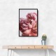 Peony Wall Art