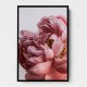 Peony Wall Art