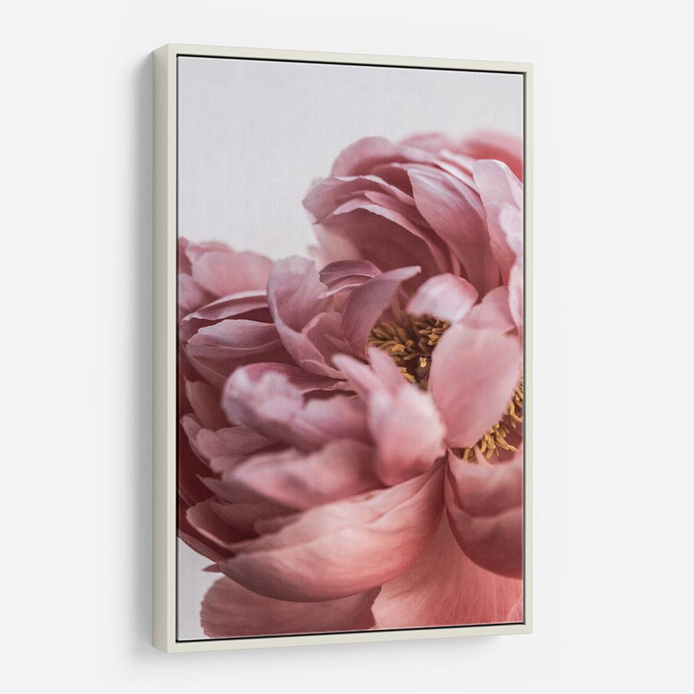 Peony Wall Art