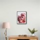 Peony Wall Art