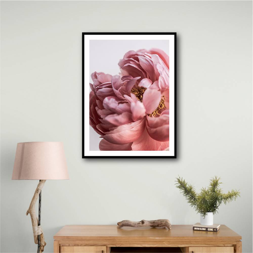 Peony Wall Art