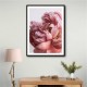 Peony Wall Art