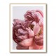 Peony Wall Art