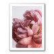 Peony Wall Art