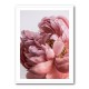 Peony Wall Art