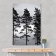 Swedish Trees Wall Art