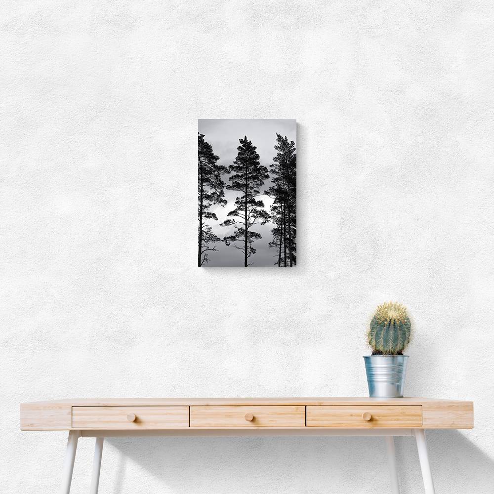 Swedish Trees Wall Art