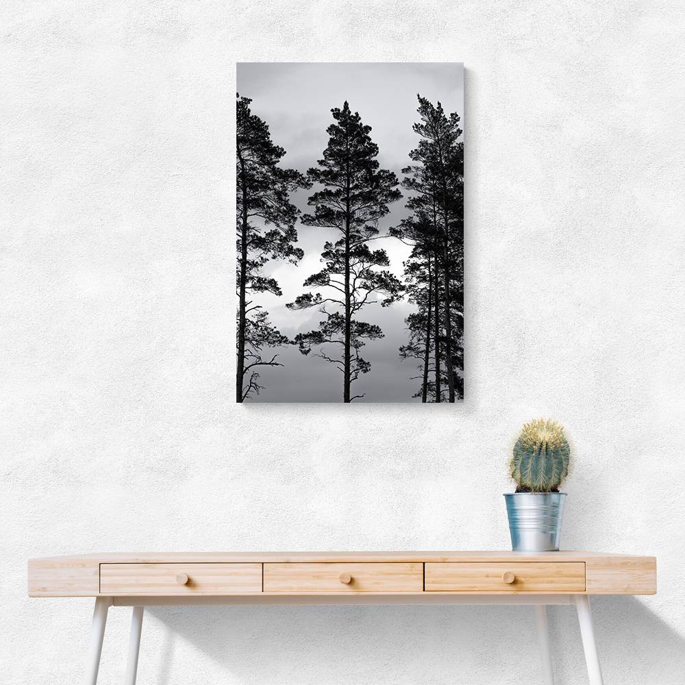 Swedish Trees Wall Art