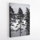 Swedish Trees Wall Art