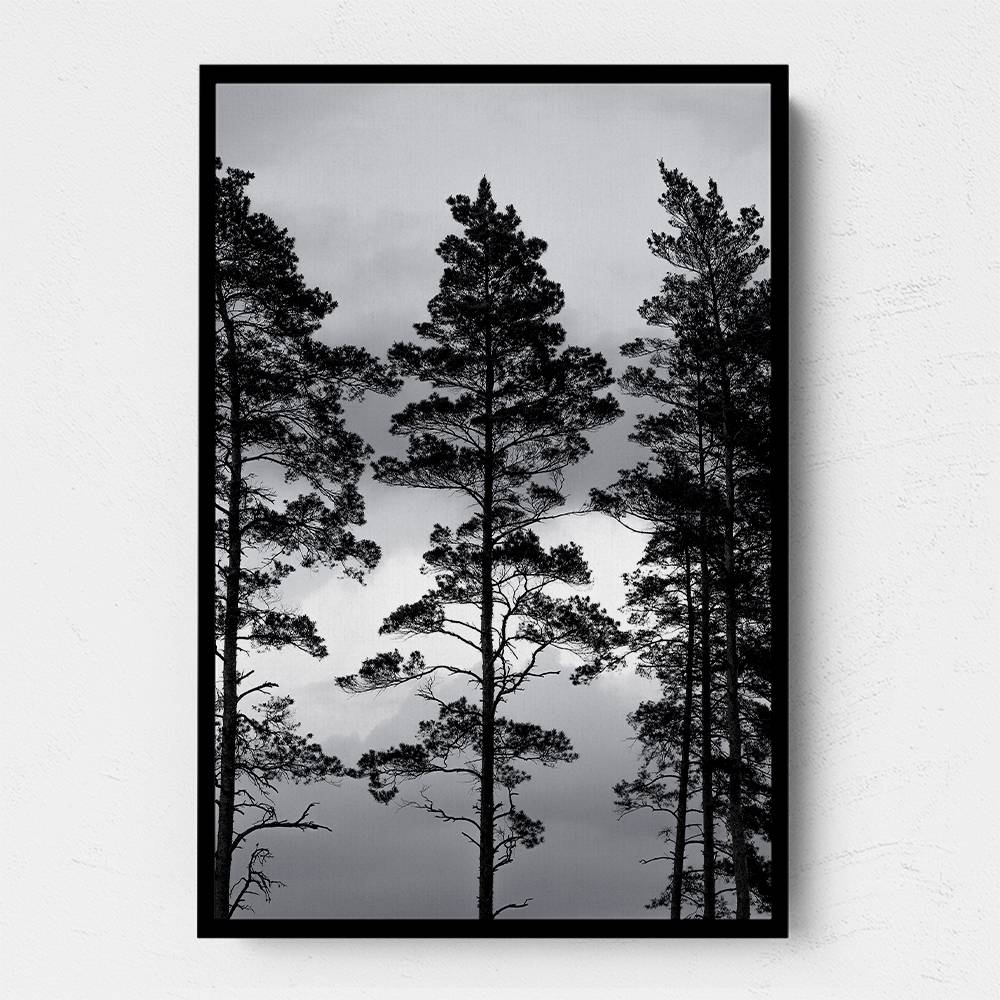 Swedish Trees Wall Art