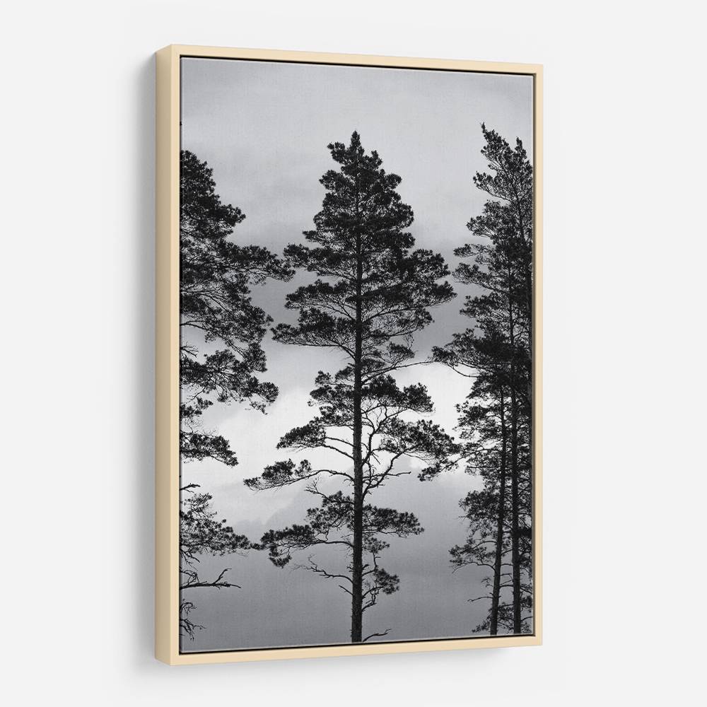 Swedish Trees Wall Art