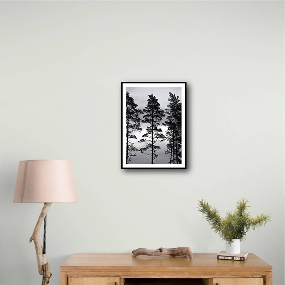 Swedish Trees Wall Art