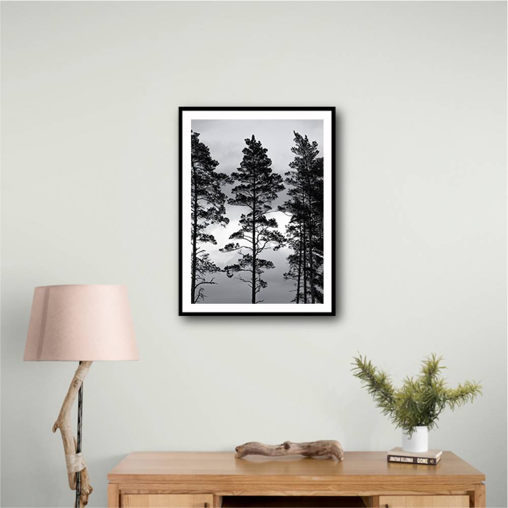 Swedish Trees Wall Art