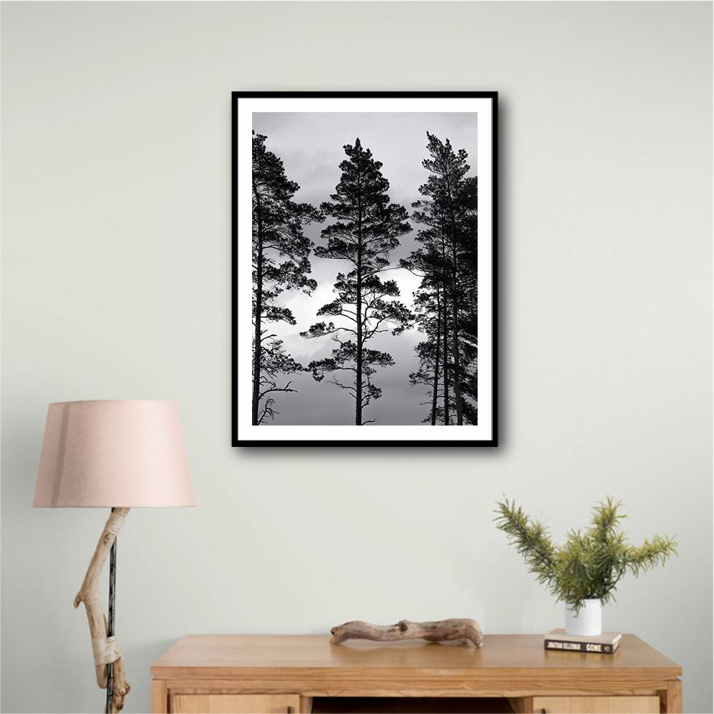 Swedish Trees Wall Art