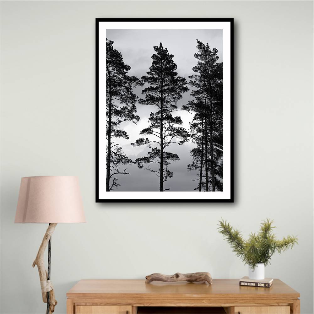 Swedish Trees Wall Art