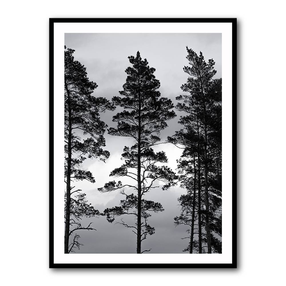 Swedish Trees Wall Art