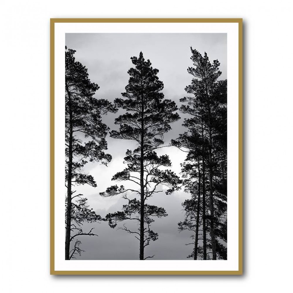 Swedish Trees Wall Art