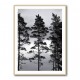 Swedish Trees Wall Art